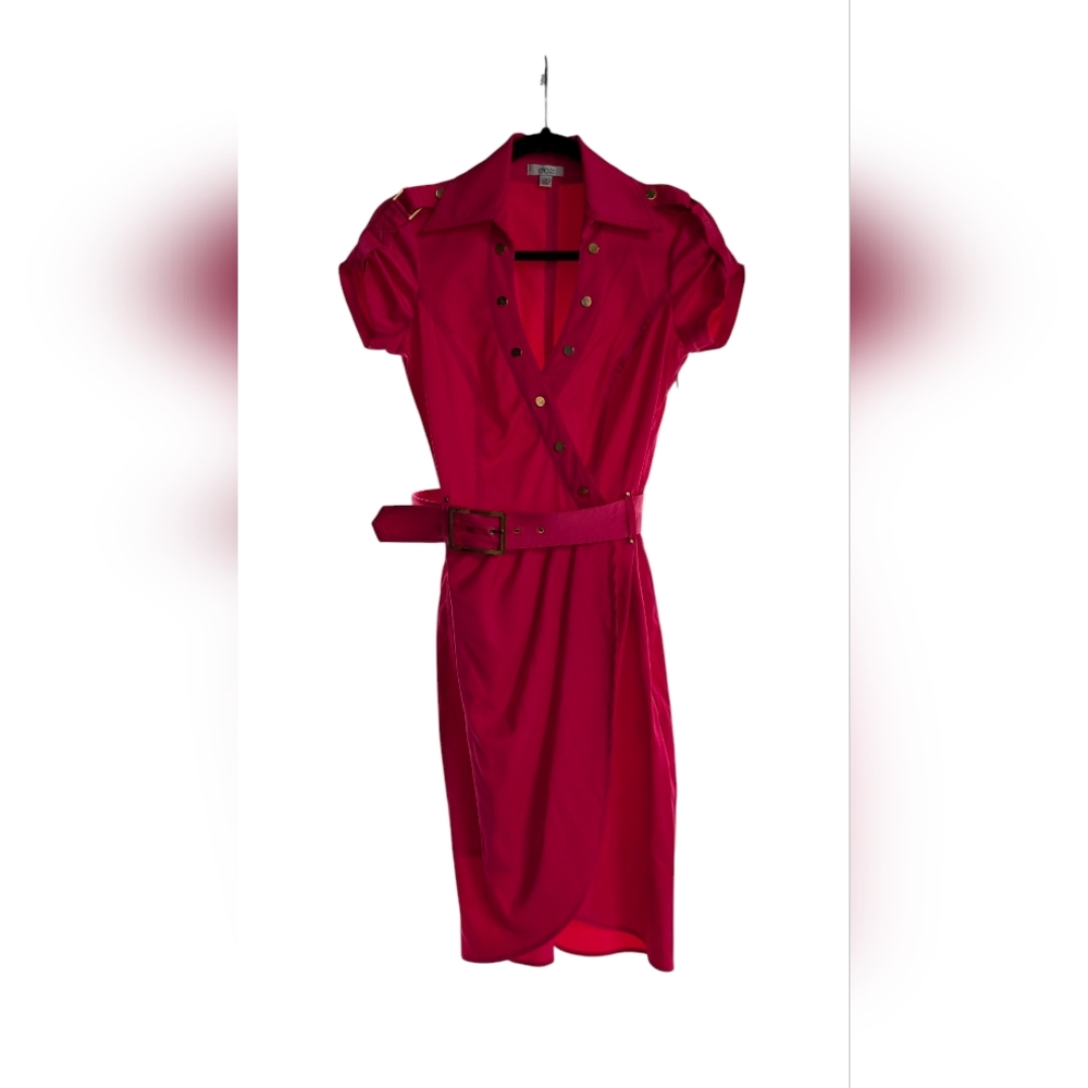 Elegant Pink Button-Down Dress